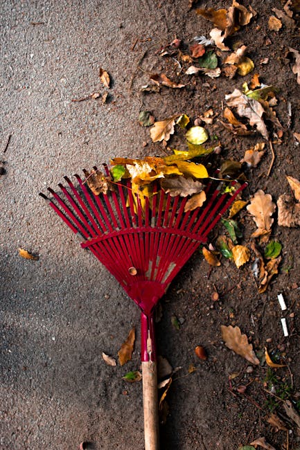 A close-up image of a red plastic hand rake with a wooden handle, lying on a wet pavement surface that is partially covered with a mixture of fallen autumn leaves in shades of brown, yellow, and green. The rake's tines are splayed out, with some leaves caught between them, indicating recent use for yard or garden clearing. The surrounding environment suggests an outdoor area, possibly a driveway or garden path, with the leaves scattered unevenly across the damp concrete. In the context of rubbish removal services, such as those offered by Rubbish Collection Haringey, this scene may reflect the type of debris typically collected from garden or outdoor spaces during a garden waste removal or on-site clearance. Observationally, the image captures a typical step in maintaining outdoor areas before professional waste collection, demonstrating the importance of effective disposal for garden refuse or leaf clearance areas.
